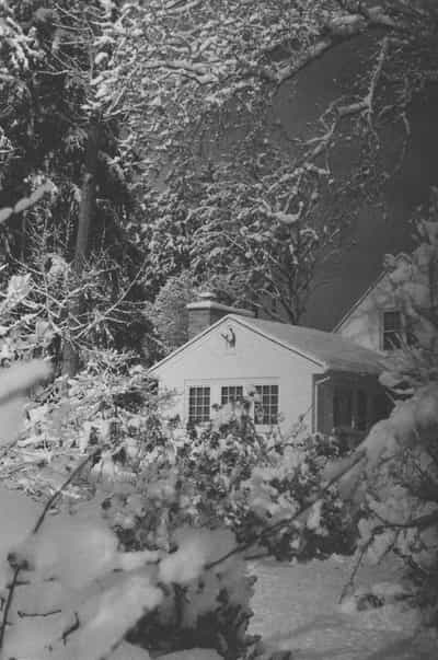 Dramatic black and white winter scene of charming white clapboard guest house with multi-pane windows nestled among heavily snow-laden evergreen and deciduous trees, thick blanket of pristine snow covering garden shrubs and pathways in foreground, captured with rich tonal contrast and deep shadows on Ilford HP5+ 400 film, emphasizing the sculptural quality of snow-covered branches and timeless winter beauty of New England country estate architecture