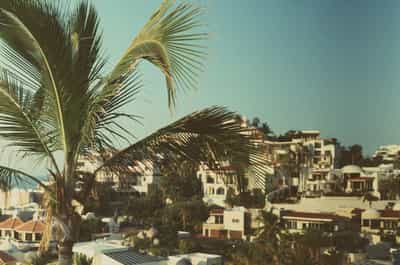 Picturesque hillside view of white stucco Cabo villas and resort architecture cascading down coastal hillside, framed by swaying palm fronds in foreground with lush tropical vegetation, captured on Cyberpunk 400D film with vintage warm color tones and soft focus creating dreamy Baja California Sur coastal living aesthetic against turquoise sky