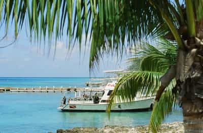 Classic Caribbean composition of a small white dive boat moored near a slatted wooden pier in impossibly turquoise Grand Cayman waters, framed on the right by the arching green fronds of a tall coconut palm in the foreground and grounded on the left by a rocky ironshore shoreline, tiny silhouetted dive crew visible on the boat's deck with the red-and-white diver-down flag the only sharp color accent punctuating the azure expanse, layered compositional depth from blurred foreground fronds to mid-ground vessel to hazy pale horizon, captured on Kodak Ektachrome E100 slide film with saturated tropical palette and soft natural daylight rendering evoking the essential quiet anticipation before an island dive trip