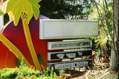 Playful still life detail of stacked backlit sign panels at a tropical beach bar featuring the cheeky hand-lettered 'LICENSE TO CHILL' phrase at the bottom beneath partially legible 'EATING HOUSE' marquee text, anchored on the left by a bold graphic red panel with yellow stylized palm tree illustration, lush tropical shrubs and palm fronds crowding the frame from multiple directions with the bar's slatted interior barely visible in soft focus through gaps in the signage, bright overhead Caribbean sun punching through vegetation shadows to produce dappled light and small red floral accents near the base, captured on Kodak Ektachrome E100 slide film with punchy saturated tropical palette and nostalgic hand-painted signage charm evoking low-key island hospitality