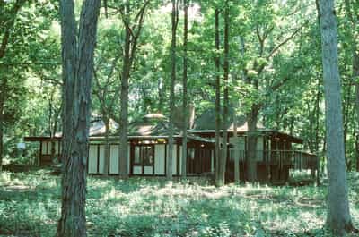Wide exterior establishing shot of the low-slung mid-century modern River Rd house set deep in a dense Wisconsin hardwood forest, dark wood vertical siding and horizontal bands of clerestory windows running the full width of the facade, structural porch posts anchoring a wraparound wood deck that floats above the forest floor, tall oak and ash trunks rising on both sides creating a natural frame that dwarfs the structure, summer groundcover of green ferns and wildflowers carpeting the clearing, dappled late-afternoon light filtering through the canopy, cool teal cast across the shadows, captured on CineStill 800T film with its signature tungsten-balanced color rendering evoking the house's reverent integration with its wooded site