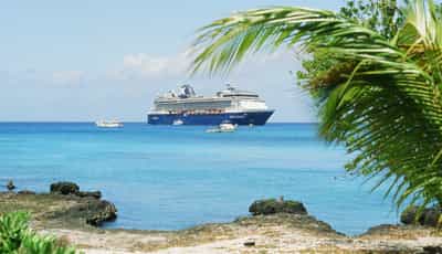 Quintessential Caribbean postcard composition of a large white cruise ship anchored offshore in calm turquoise tropical waters, framed on the right by the arching green fronds of a leaning coconut palm tree and grounded in the foreground by weathered dark volcanic rock formations at the water's edge, smaller tender boats ferrying passengers visible as tiny silhouettes between ship and shore, pale blue sky with wispy high cloud above the ship's silhouette, rich gradient of shallow teal water deepening to marine blue further out toward the horizon line, captured on Kodak Ektachrome E100 slide film with saturated tropical palette and classic travel-magazine framing evoking the iconic at-anchor island arrival experience